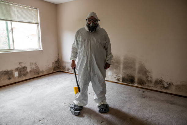 Best Certified Mold Removal  in Naples Manor, FL